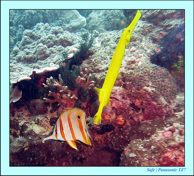 2011 - 08 - Borneo - Mantabuan 17